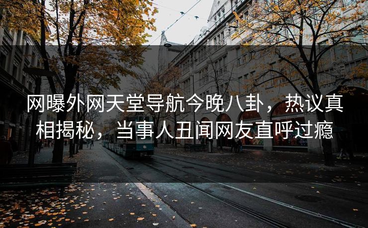 网曝外网天堂导航今晚八卦，热议真相揭秘，当事人丑闻网友直呼过瘾