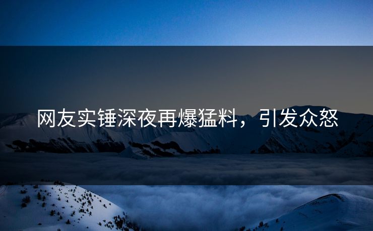 网友实锤深夜再爆猛料，引发众怒