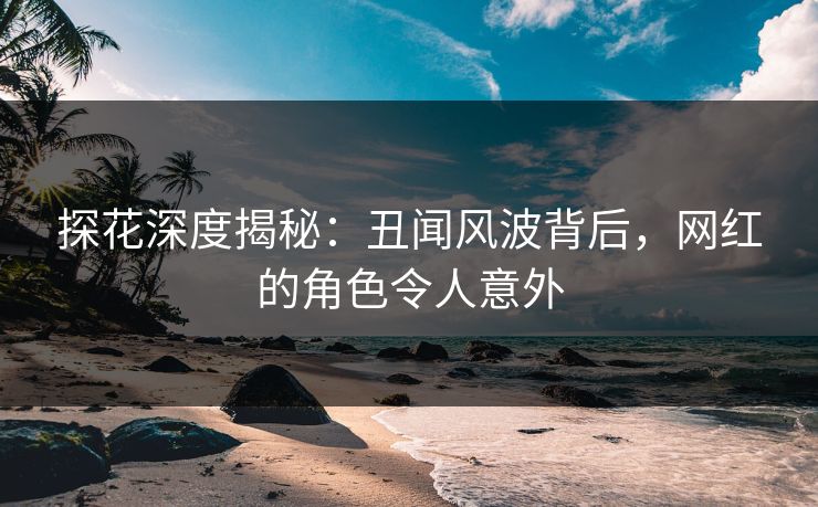探花深度揭秘：丑闻风波背后，网红的角色令人意外