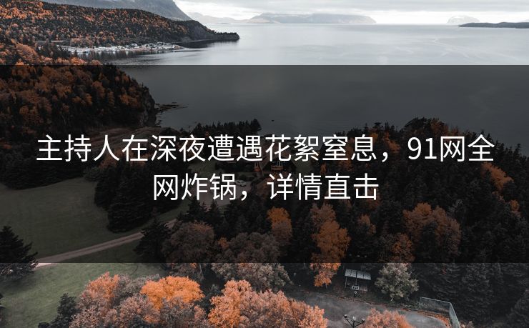 主持人在深夜遭遇花絮窒息，91网全网炸锅，详情直击