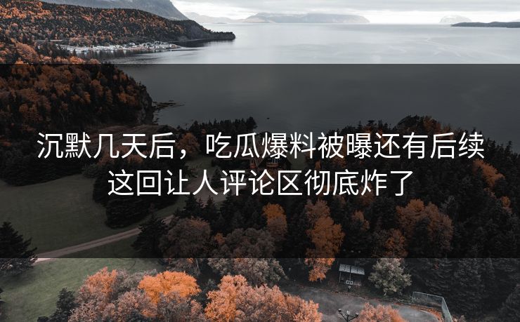 沉默几天后，吃瓜爆料被曝还有后续这回让人评论区彻底炸了